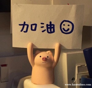 备考南京五年制一贯制专转本三江学院财务管理有多大胜算？