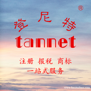 在智利注册公司的要求