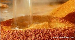 酱香型白酒的八大标准 新手必学