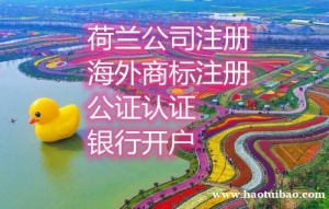 注册荷兰公司流程