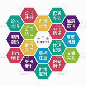 量身定制商业计划书