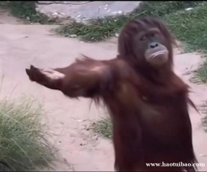 提供影视渠道资源 抖音快手评论私信