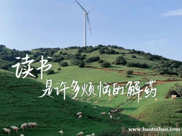 备考2024年五年制专转本该如何准备,怎样才能提高上岸几率 备考2024年五年制专转本该如何准备,怎样才能提高上岸几率