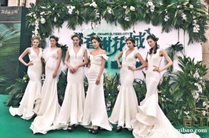 西安丰金锐活动公司 庆典公司 展会礼仪、会议礼仪、剪彩礼仪、宴会礼仪、平面模特