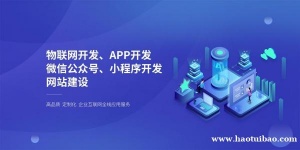 江西南昌周边做网站建设软件开发APP开发小程序开发