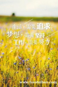 五年制专转本南京晓庄学院软件工程专业报考分析，应对方法