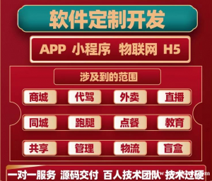 南昌做软件产品开发商城小程序开发网站建设找哪家公司