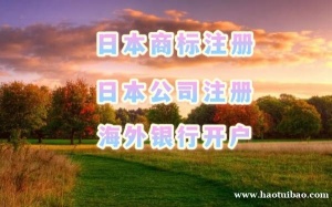 注册日本公司的流程