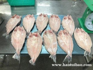 /越南巴沙鱼/博氏巨鲶如何操作进口清关