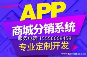 分销商城开发_APP开发_微信开发_商城系统开发-15年经验专业开发团队