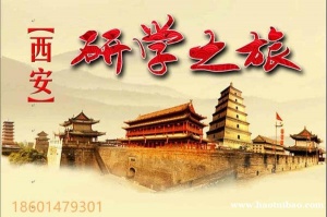 苏州青少年西安研学旅行夏令营长安千年历史文化探索实践营报名中