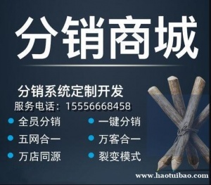 分销商城开发_电商APP开发_公众号商城搭建_商城系统开发