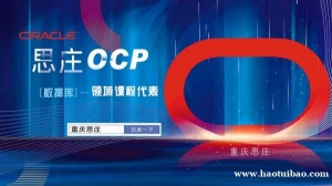 oracle授权WDP有哪些