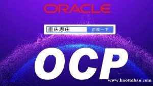 oracle授权WDP中心有哪些