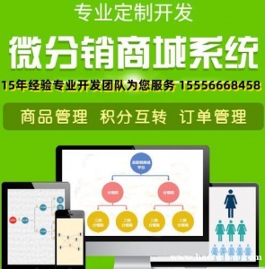 分销商城开发_APP商城开发_企业网站开发_商城系统开发