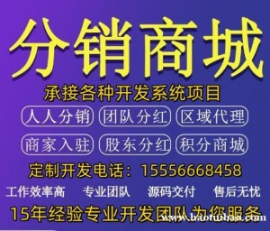 分销商城APP开发_电商企业网站建设_微信开发_商城系统开发