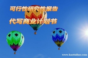 专业撰写可行性研究报告