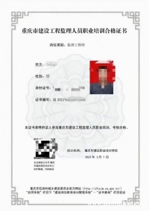 监理从业人员素质如何休现？