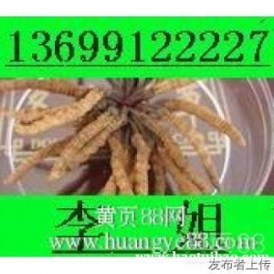 13699122227无锡城收冬虫夏草东阿阿胶片仔癀安宫牛黄丸海参燕窝