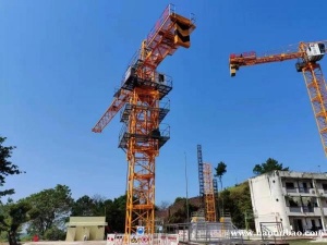 考塔吊指挥考点学习直接报名