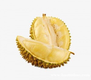 冷冻鲜榴莲进口中文标签备案及所需资料