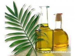 广东进口棕榈油棕榈粕通关手续及申报要素