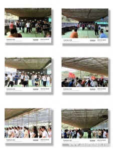 深圳好玩的农家乐可以野炊做饭公司团建团队拓展值得一去