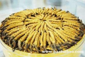贵阳市回收冬虫夏草 包括断 瘪 混 统 精选5A礼品草