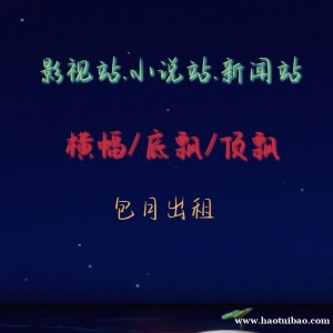 小说站 影视站 抖音私信 微信/支付宝/app端流量 互联网广告投放