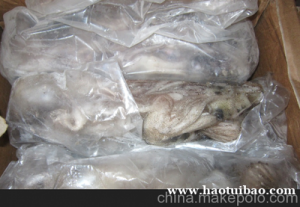 进口东南亚墨鱼清关