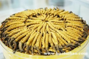 专业上门13699122227杭州回收冬虫夏草海参燕窝东阿阿胶片仔癀安宫牛黄丸