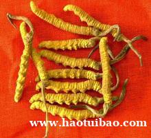 专业上门13699122227福州回收冬虫夏草海参燕窝东阿阿胶片仔癀安宫牛黄丸