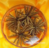 专业上门13699122227兰州回收冬虫夏草海参燕窝东阿阿胶片仔癀安宫牛黄丸