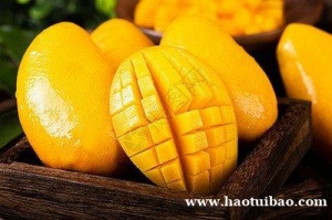 进口水果芒果宁波进口清关报关申报所需文件