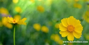 税务稽查的重点有哪些？