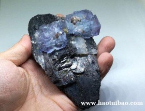 进口钨矿清关流程