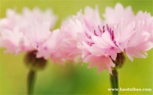 员工的劳动合同你是怎么签的？