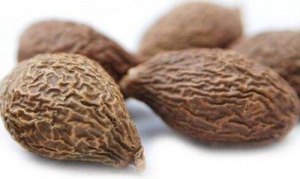 进口泰国胖大海通关流程及申报方法