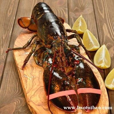 进口加拿大龙虾清关流程 进口加拿大龙虾清关流程