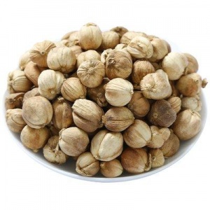 宁波港口进口伊朗豆蔻报关清关代理及注意流程