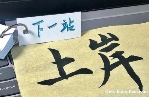 五年制专转本考生长期摆烂后，该如何利用暑时间高效学习