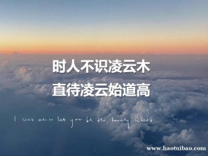 五年制专转本考生必看！如何在一年内有效备考，成功转本上岸！