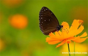 新买的车当年能加速折旧吗？