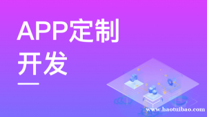 江西网络服务公司,APP软件定制商城网站建设开发