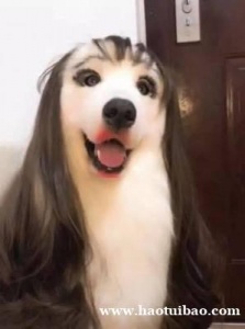 北美发睫毛道具天津港报关清关上海送货上门