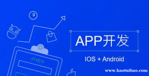 江西计算机软件服务公司,APP应用开发网站建设开发