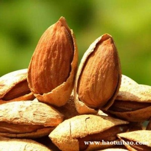 进口腰果海南果巴旦木坚果天津港报关清关境内上门