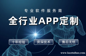 南昌IT公司,APP软件开发商城网站建设小程序开发