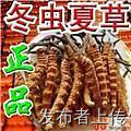13811337577岳阳收冬虫夏草东阿阿胶片仔癀安宫牛黄丸海参燕窝