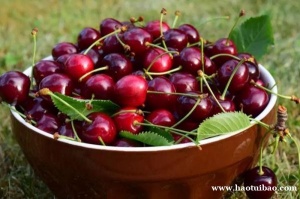 青岛港进口智利车厘子天津港清关方案